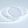 Лента светодиодная RT 2-5000 24V Cool 15K 5mm 2x (3528, 600 LED, LUX) (Arlight, 9.6 Вт/м, IP20)