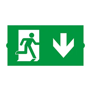 Пиктограмма EMGP-DIRECT-DOWN (Вниз) (Arlight, Пластик)